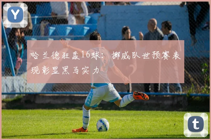哈兰德狂轰16球：挪威队世预赛表现彰显黑马实力