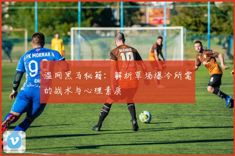 温网黑马秘籍:解析草场爆冷所需的战术与心理素质